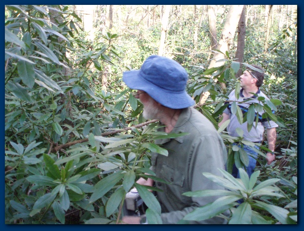 600x449 pixels (175K)